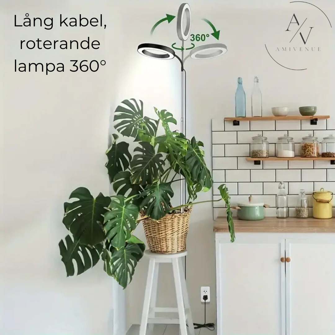 interior, växtljuslampa,inomhus odling